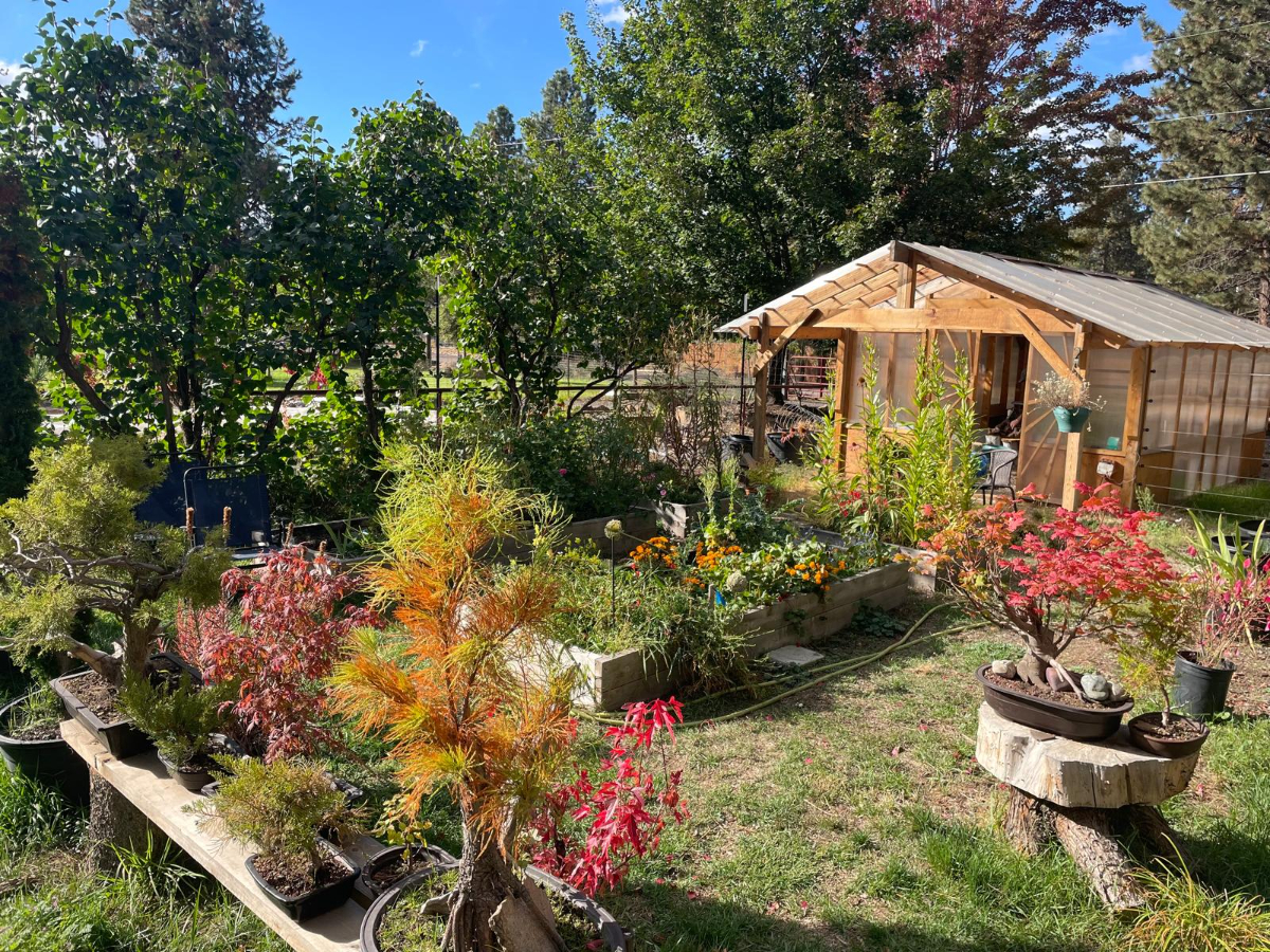 Family home - Photo 6