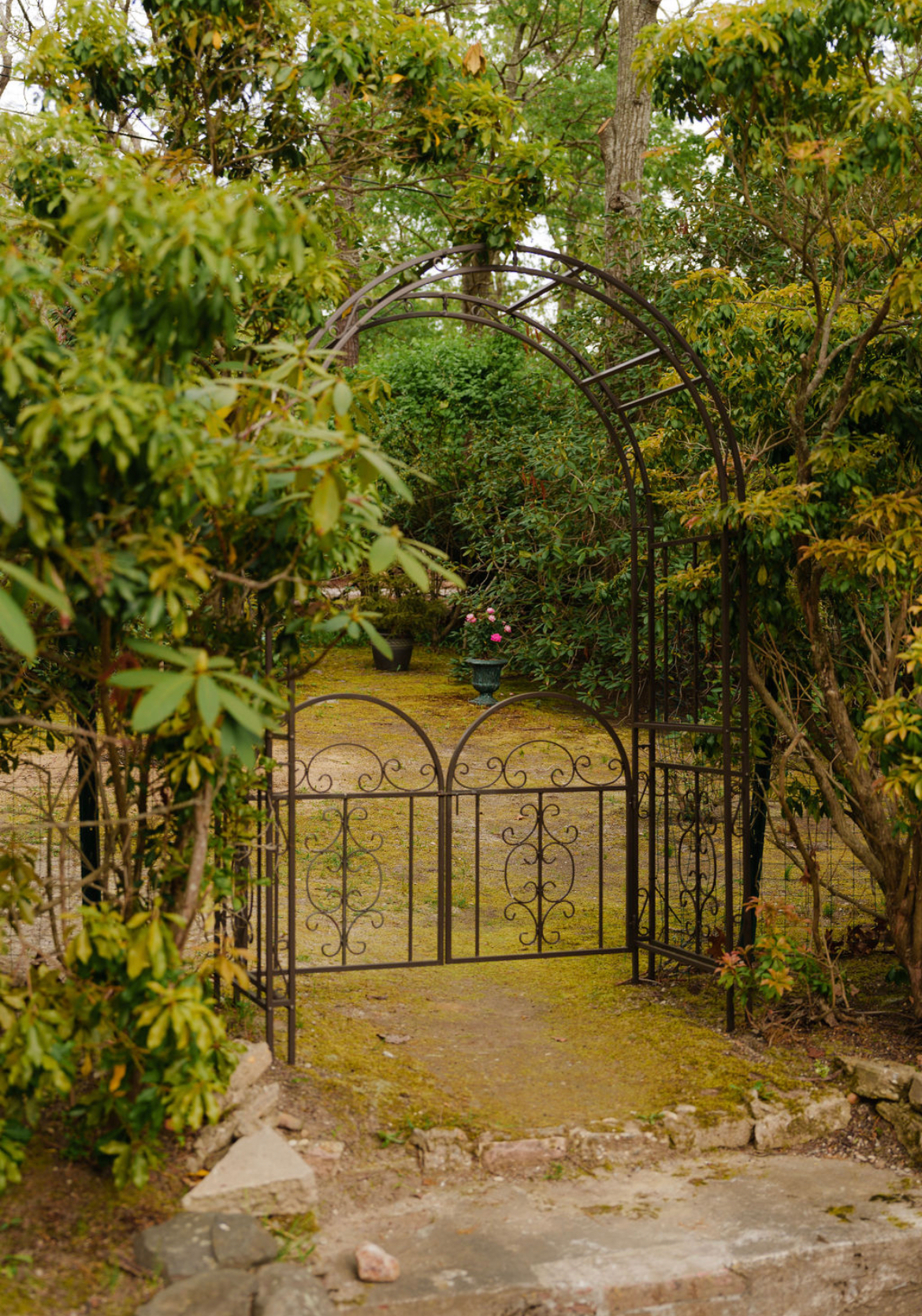 Peaceful Hamptons Cottage Near Hospitals & Beaches - Photo 4