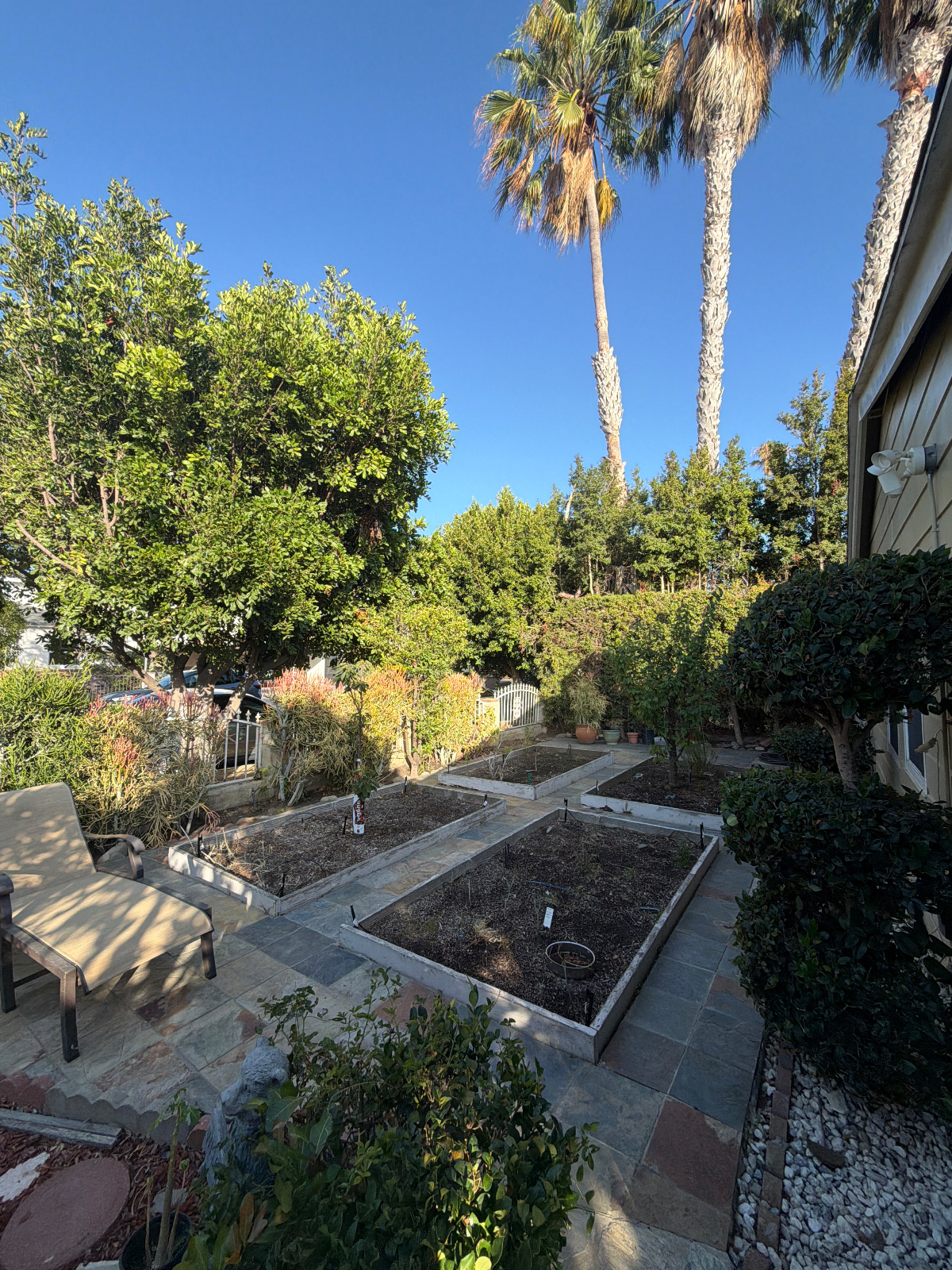 1 Bedroom available with SHARED bathroom in newly renovated West Los Angeles Home - Photo 2