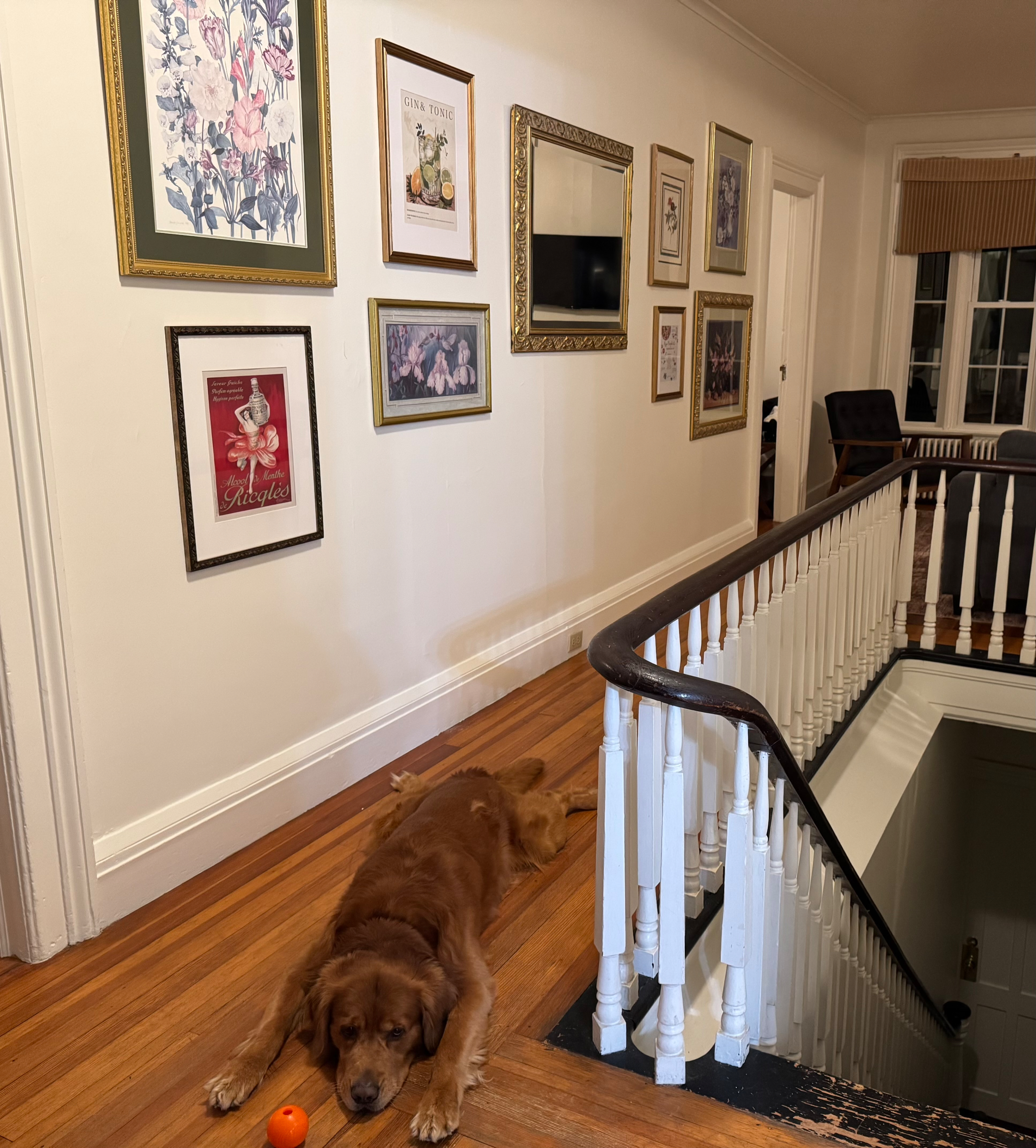 1BR 1BA bilevel renovated apartment - Photo 1