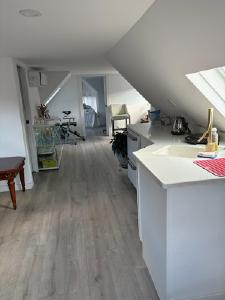 Bright, Renovated Living with Thoughtful Modern Features - Photo 2