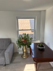 Bright, Renovated Living with Thoughtful Modern Features - Photo 4