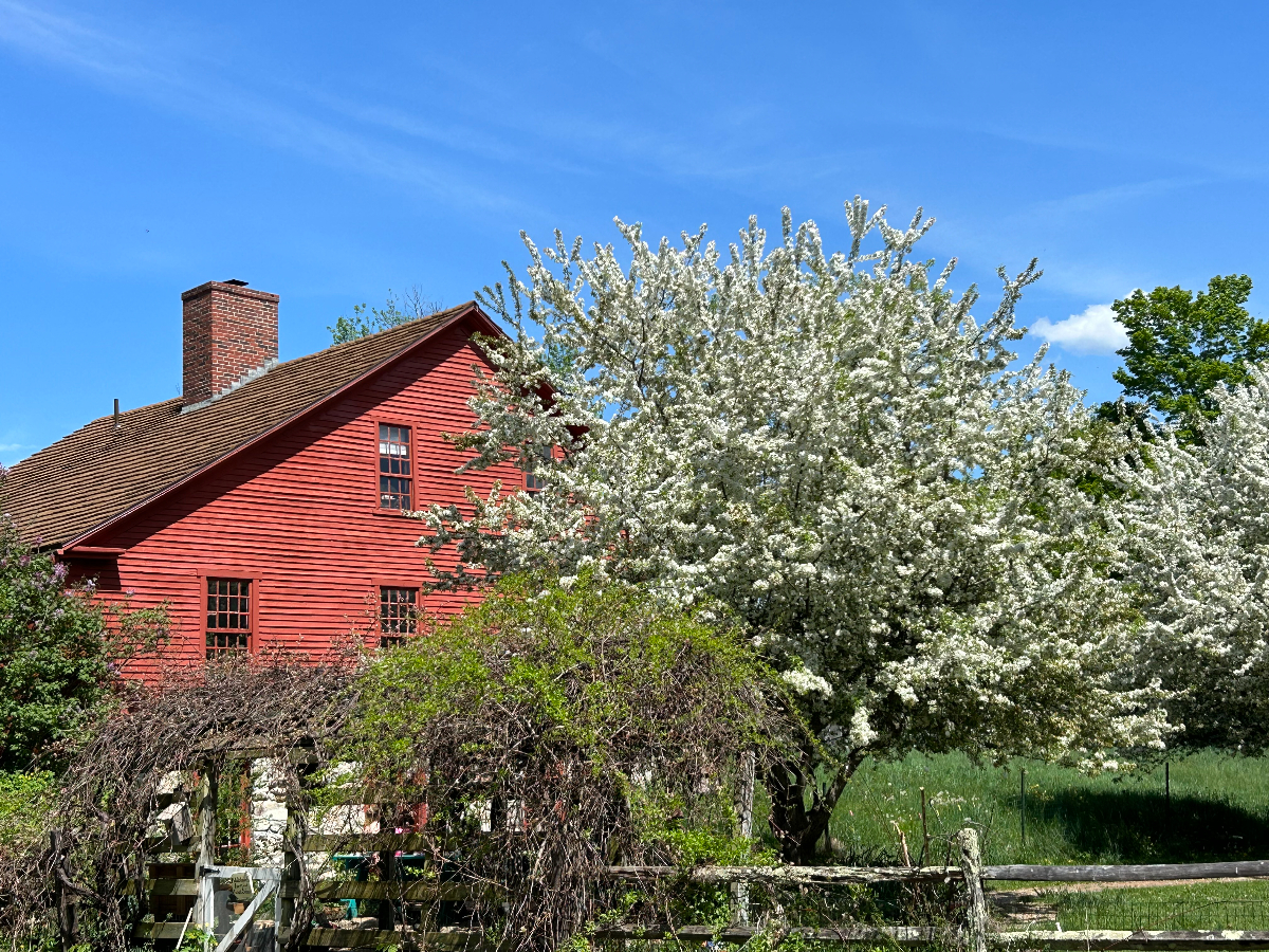 The Oliver Rice House - Photo 6