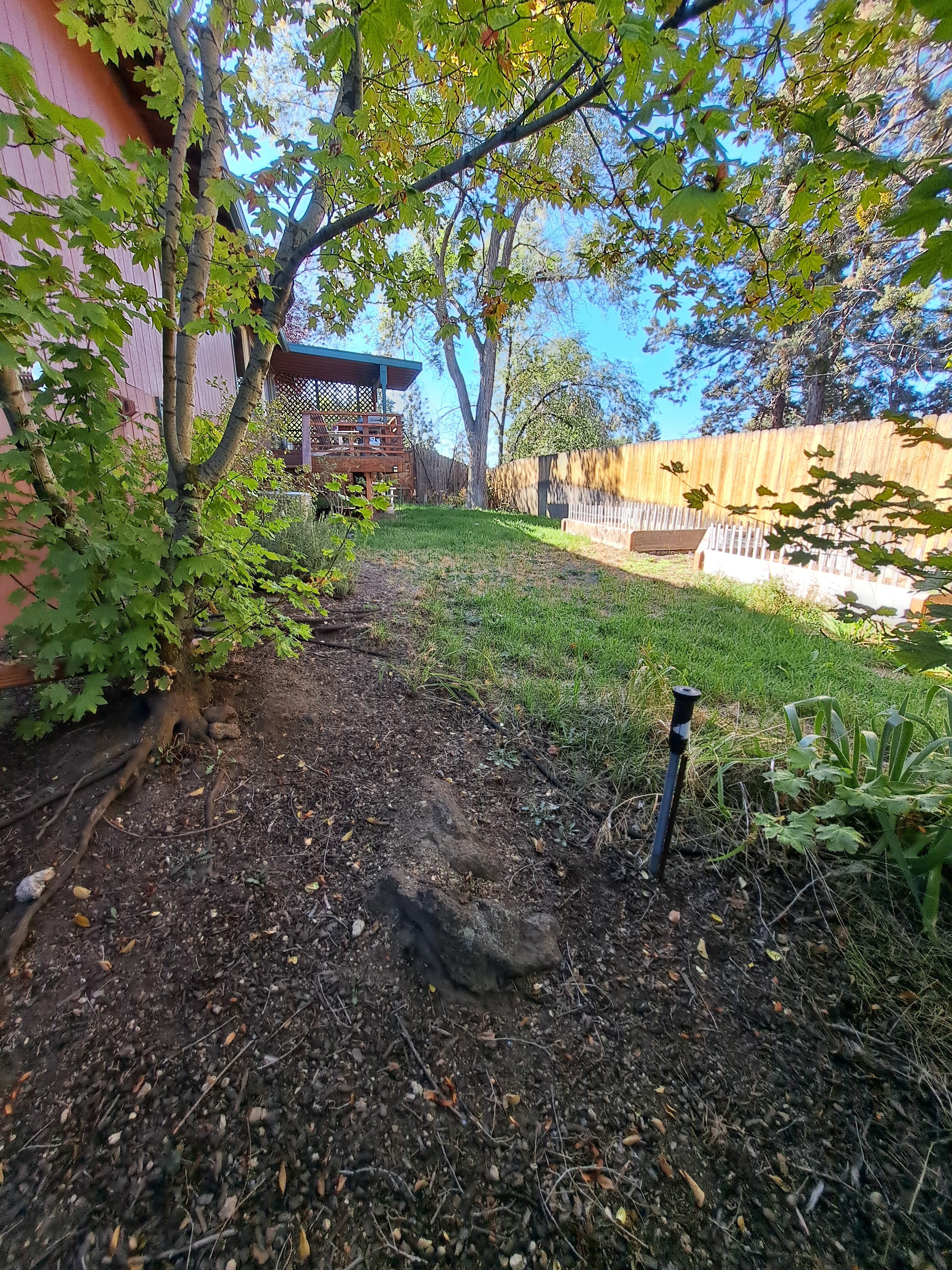 3-Bedroom House in the trees with no through traffic - Photo 4