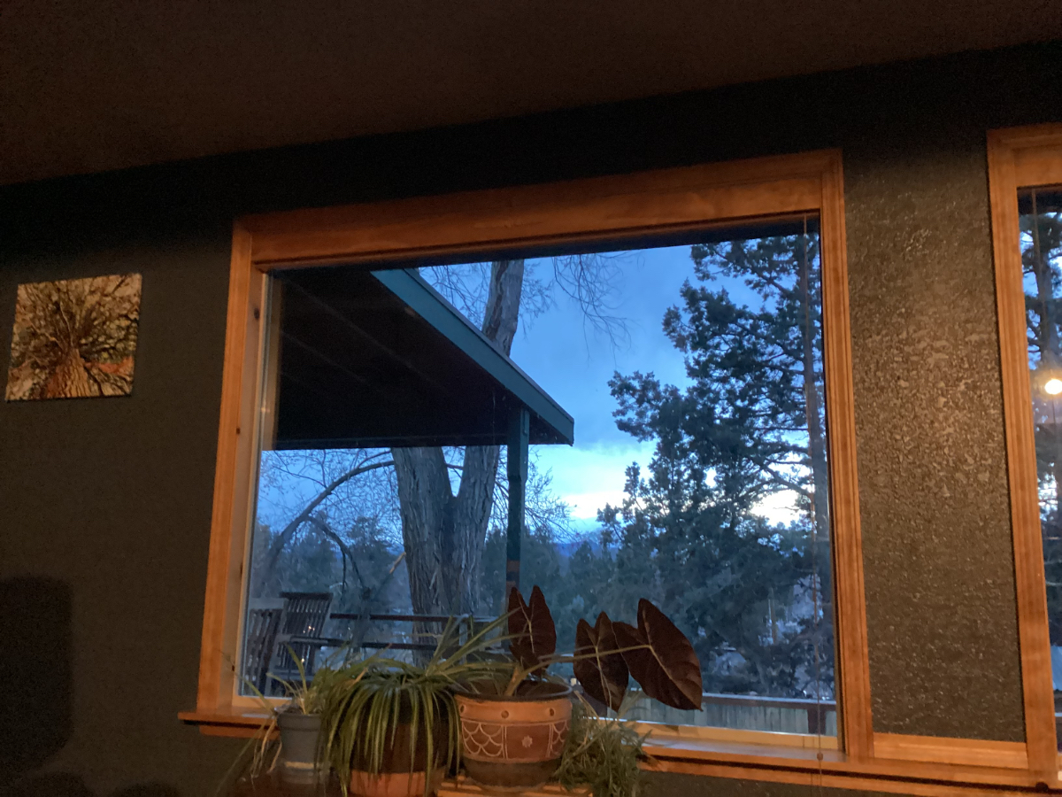 3-Bedroom House in the trees with no through traffic - Photo 2