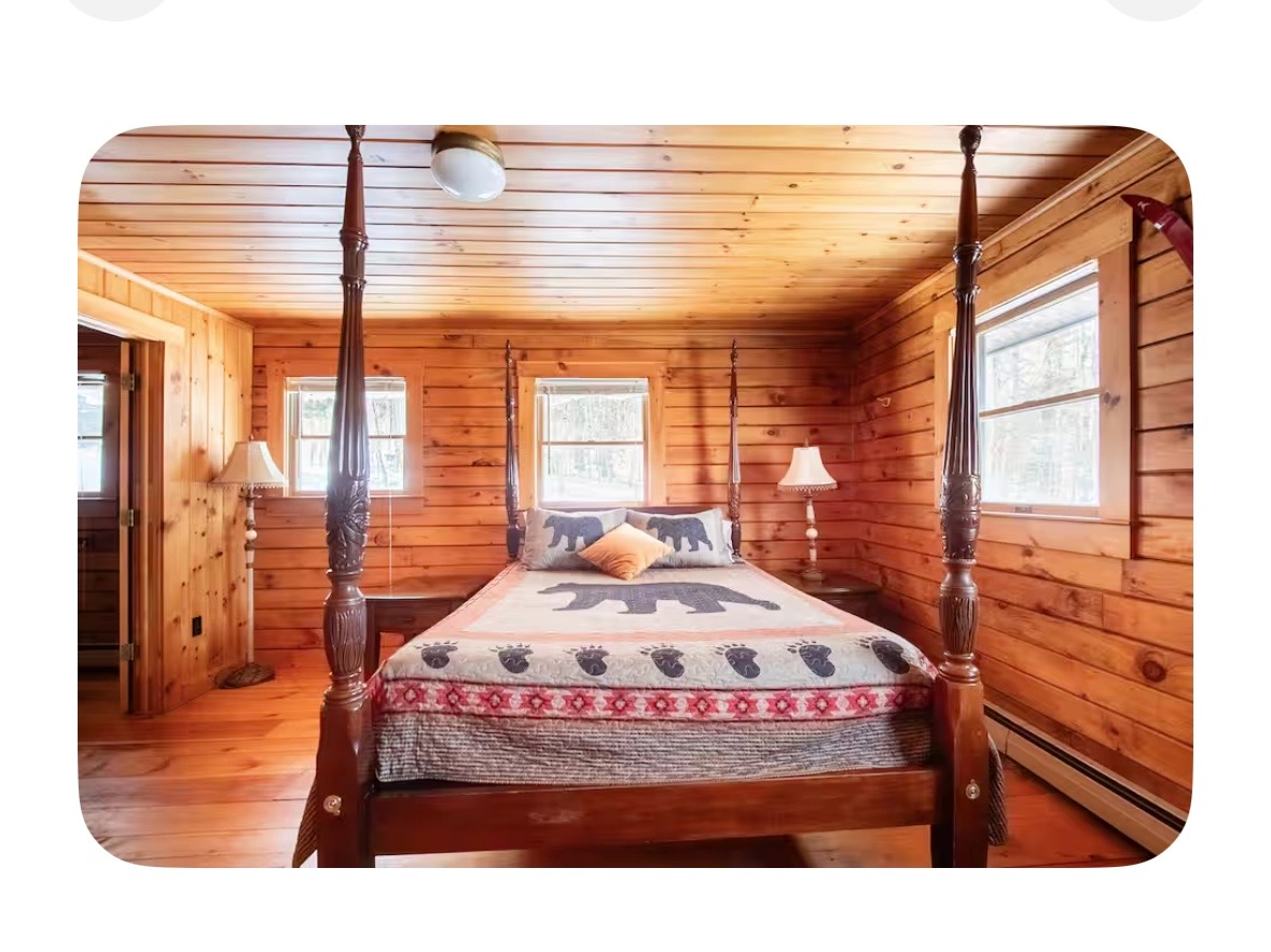 RED WAGON CABIN - Photo 12