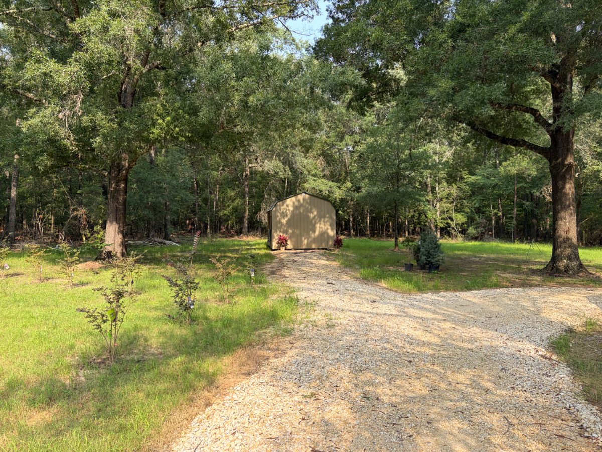Cozy Country Cabin - Photo 6