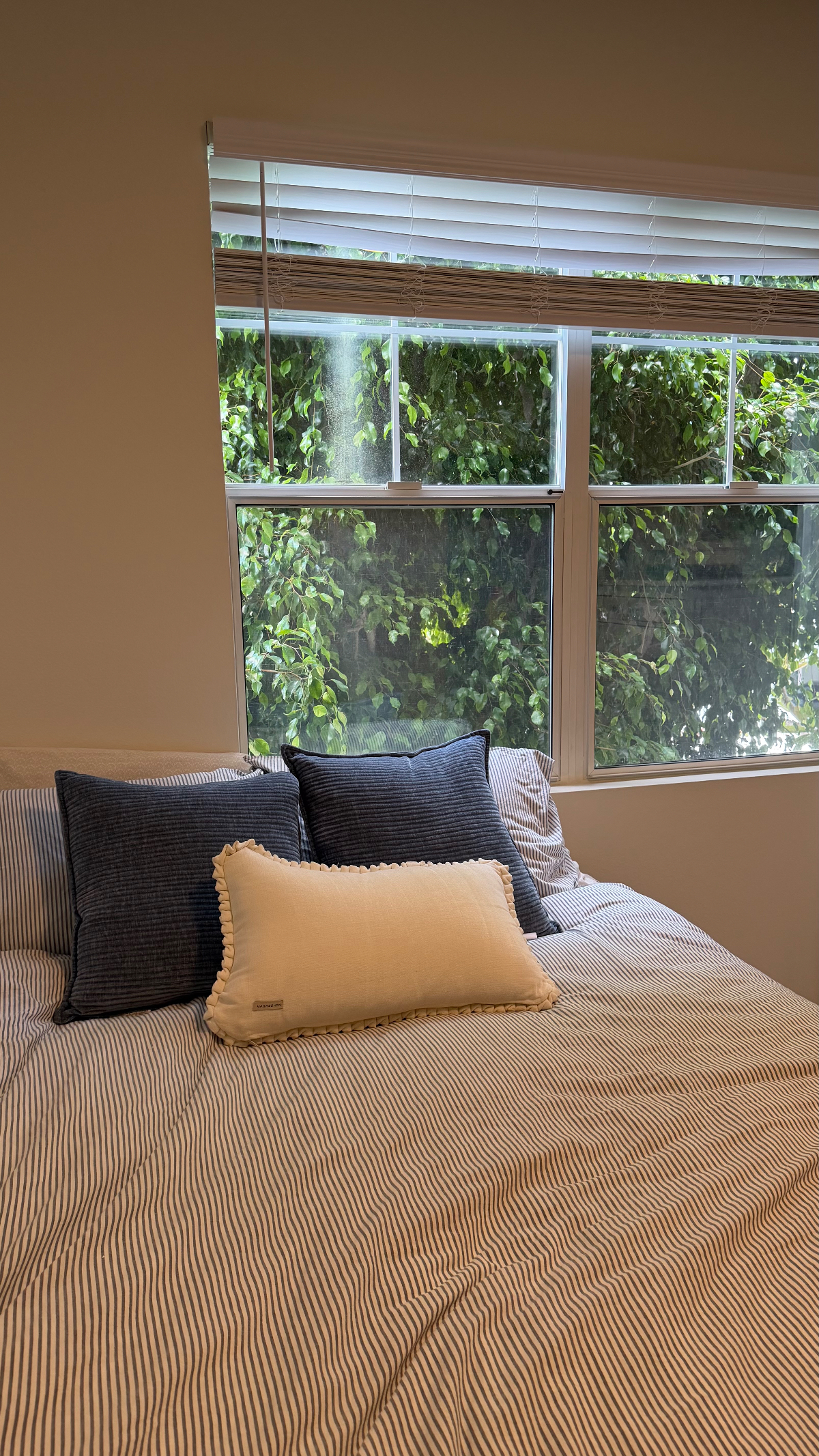 Sunny Private Suite Minutes from the Beach & Hospitals - Photo 2