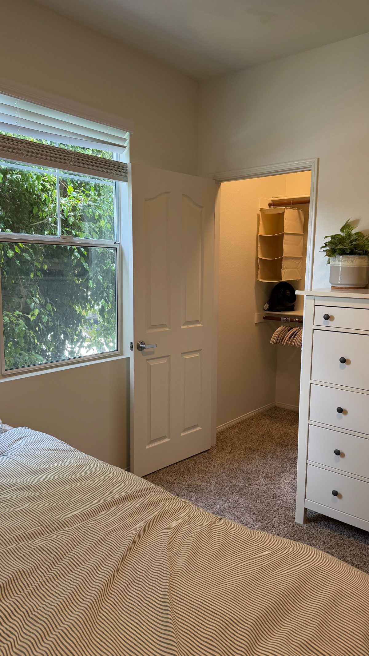 Sunny Private Suite Minutes from the Beach & Hospitals - Photo 6