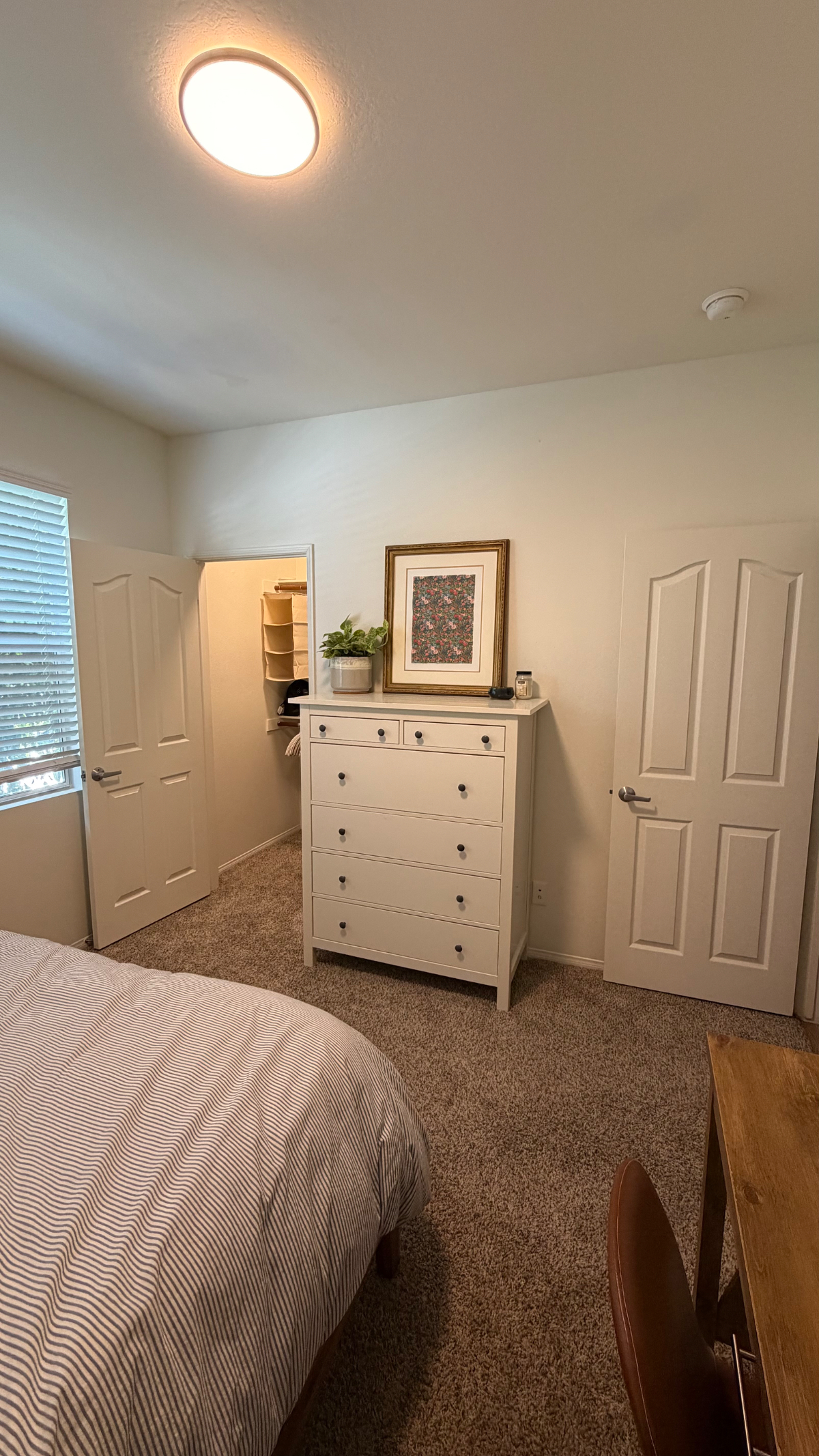 Sunny Private Suite Minutes from the Beach & Hospitals - Photo 5