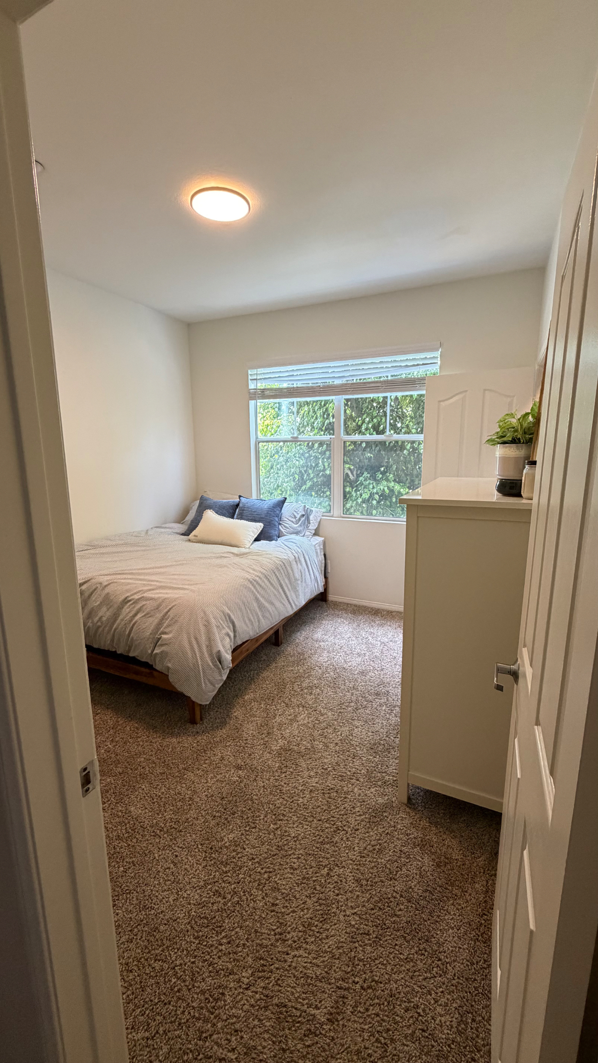 Sunny Private Suite Minutes from the Beach & Hospitals - Photo 3