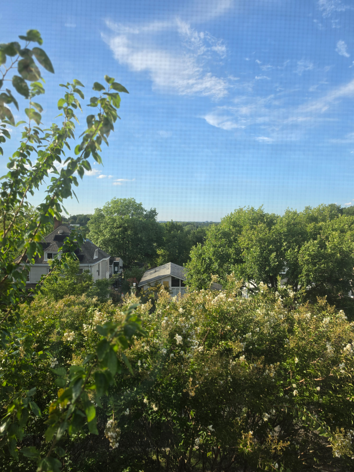 Private Brookland Suite with Ensuite Bath| Minutes to DC Hospitals - Photo 5