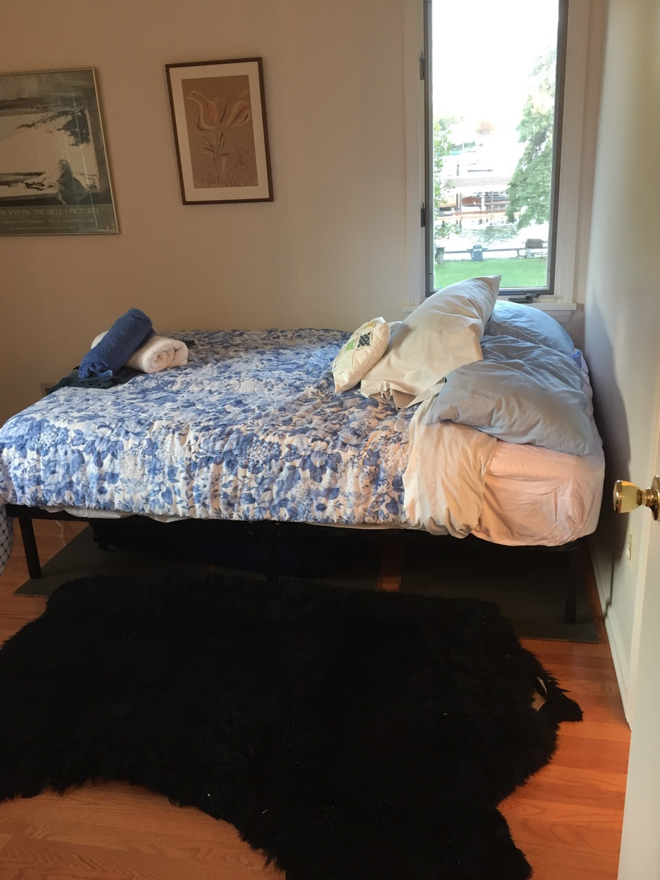 Lovely Lakeside Lodge on Canandaigua Lake- 2.5 miles to Historic Mainstreet - Photo 3