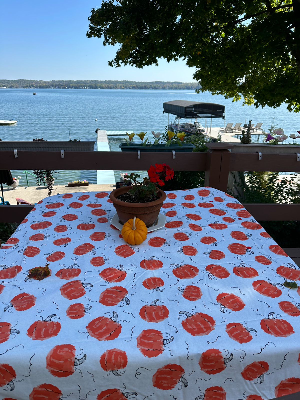Lovely Lakeside Lodge on Canandaigua Lake- 2.5 miles to Historic Mainstreet - Photo 5