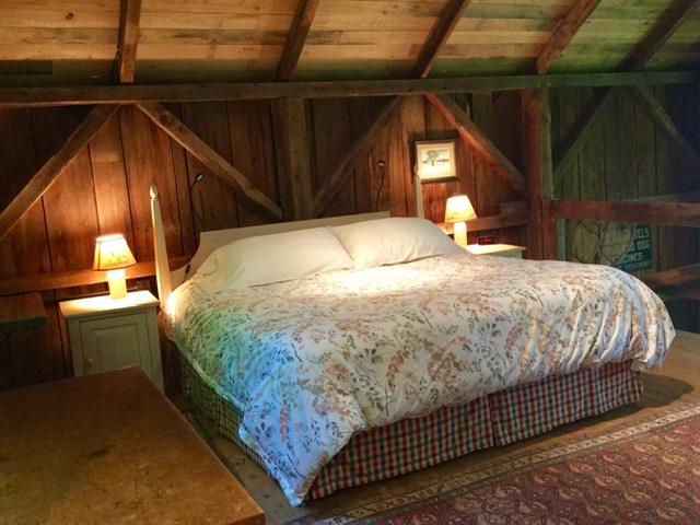 Attractive, private Vermont cottage in the woods - Photo 6