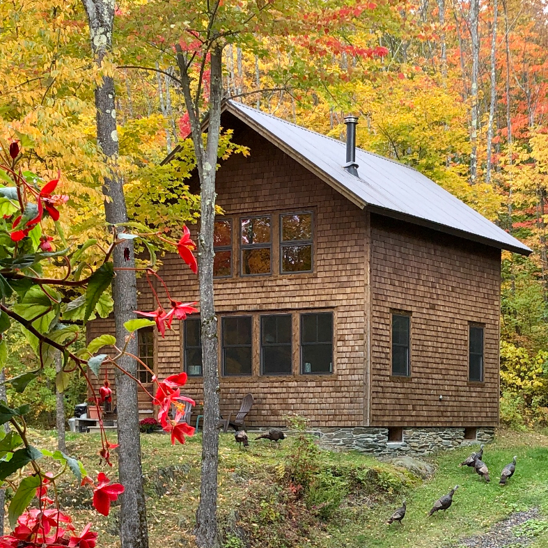 Attractive, private Vermont cottage in the woods - Photo 1