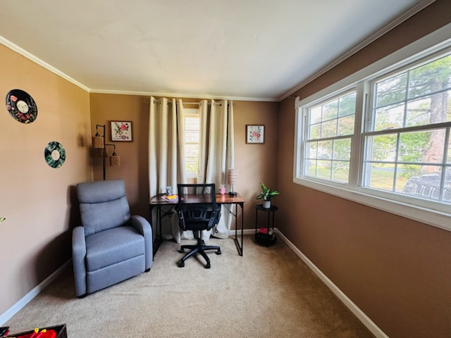 Charming North Syracuse Home | Fenced Yard | Dogs Welcome | Traveling Nurse Friendly - Photo 8