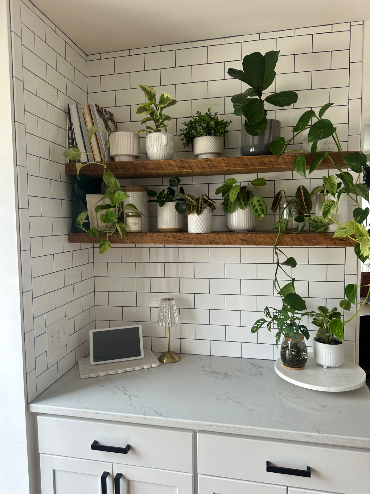 Cozy + stylish updated Kenmore home - Photo 4