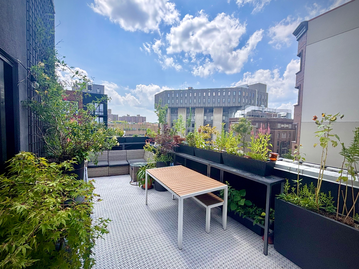 1 bedroom plus loft with a private rooftop - Photo 4