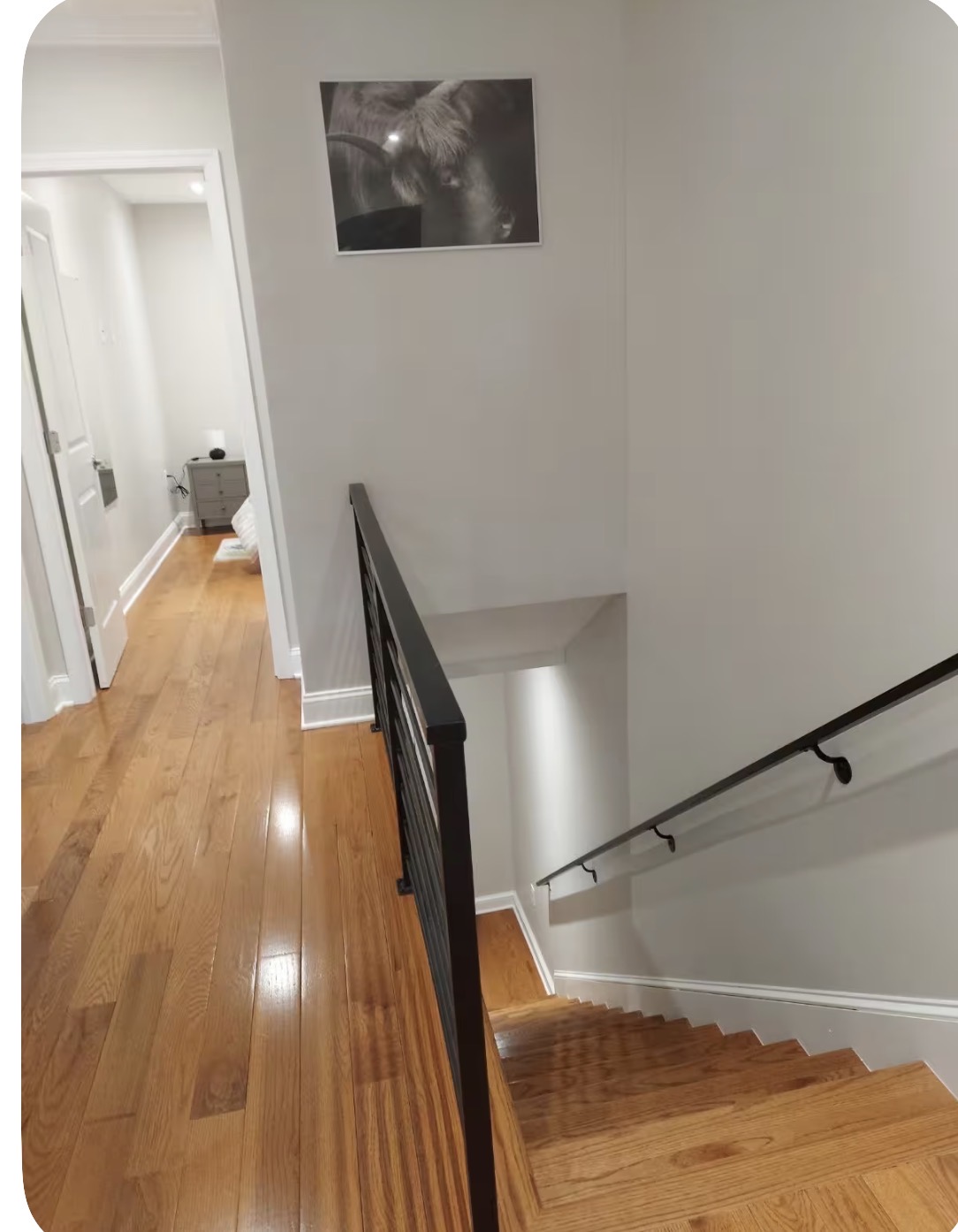 LOVE DC apartment 3 - Photo 4