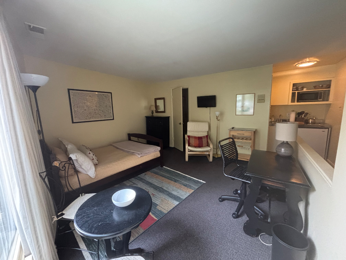 Urban Oasis -- Quiet Du Pont Circle carriage house studio near everything - Photo 5