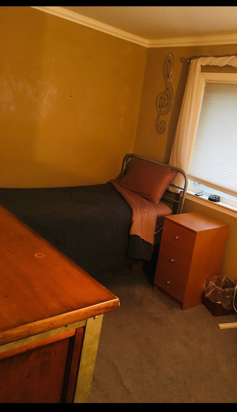 Looking for traveling nurses/professionals ONLY - Photo 2