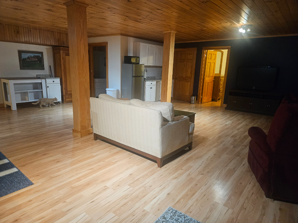 Apartment - Photo 1