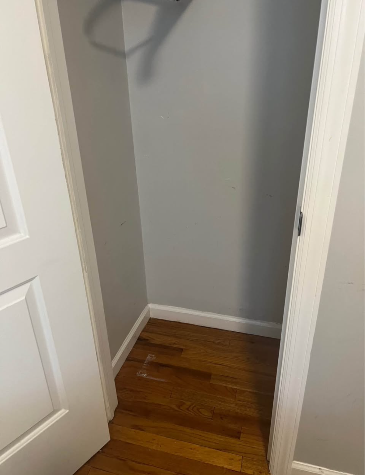 Private Furnished Room in Shared Apartment with Laundry & Backyard - Photo 4