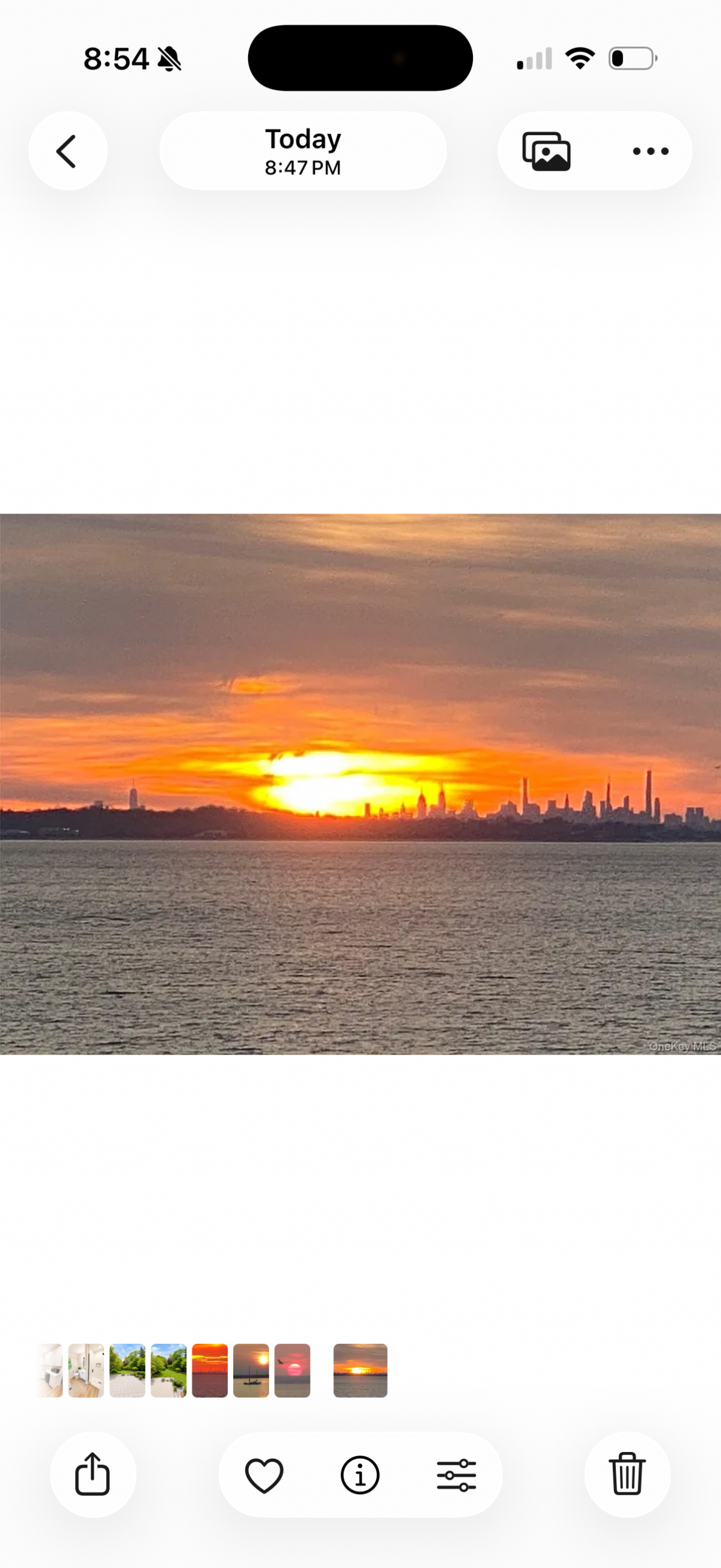 Quiet North Shore neighborhood with private beach access, beautiful sunsets and Manhattan skyline vi - Photo 8