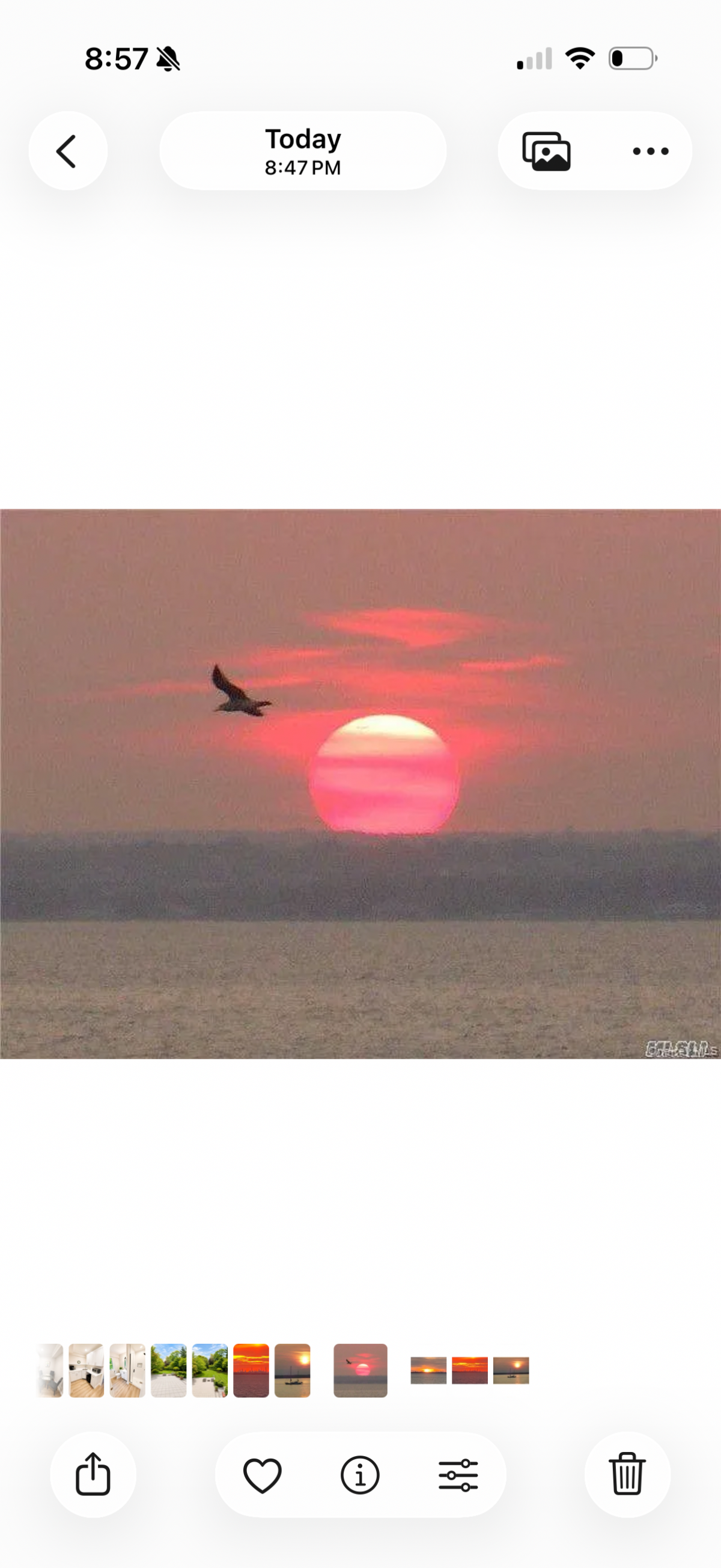 Quiet North Shore neighborhood with private beach access, beautiful sunsets and Manhattan skyline vi - Photo 10