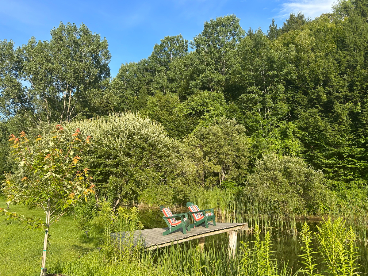 A Restful Retreat for Those Who Care for Others - Photo 6