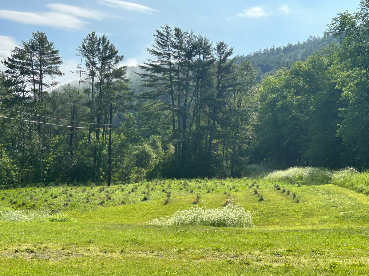 A Restful Retreat for Those Who Care for Others - Photo 9