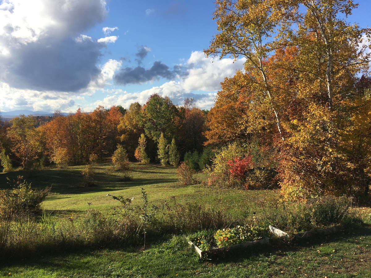 New two-room apartment in Royalton, Vermont - Photo 11