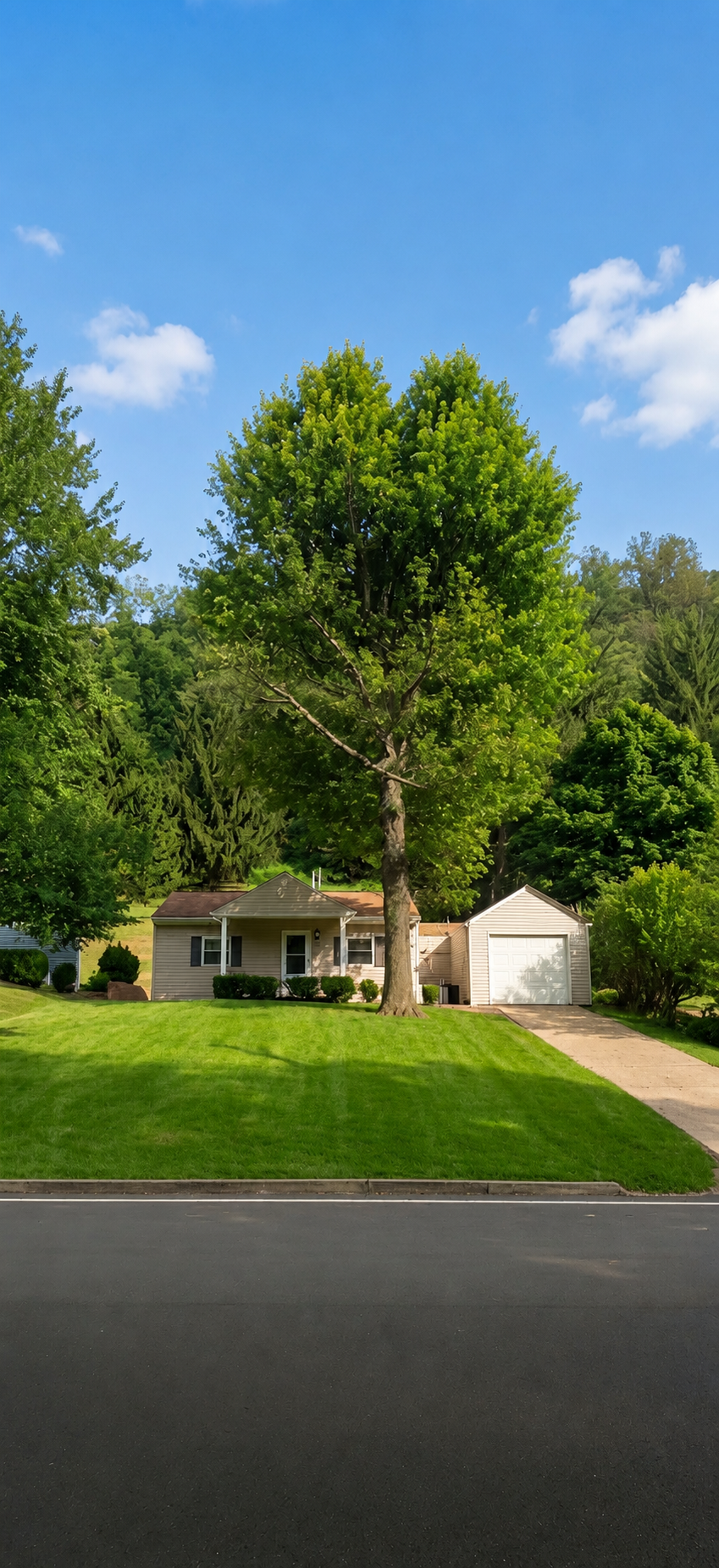 Beautiful Home in the Heart of Wheeling - Photo 1