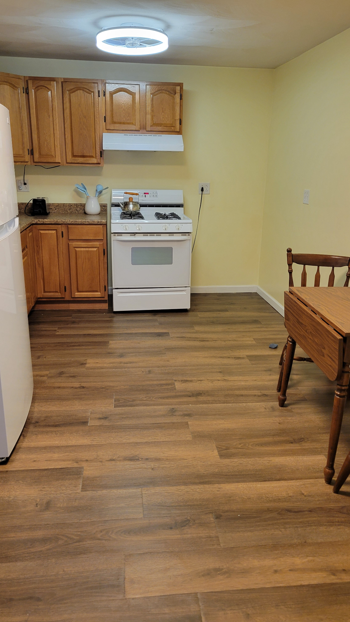 Newly updated, spacious 1 bedroom apartment - Photo 3