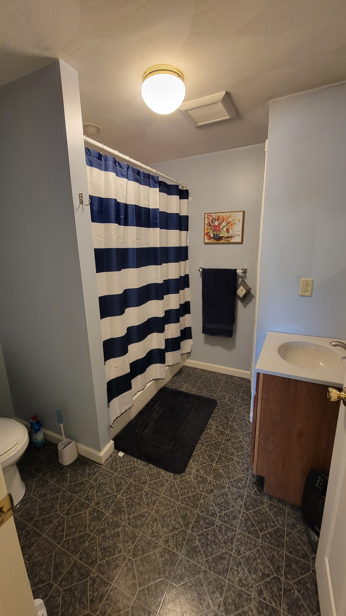 Newly updated, spacious 1 bedroom apartment - Photo 4