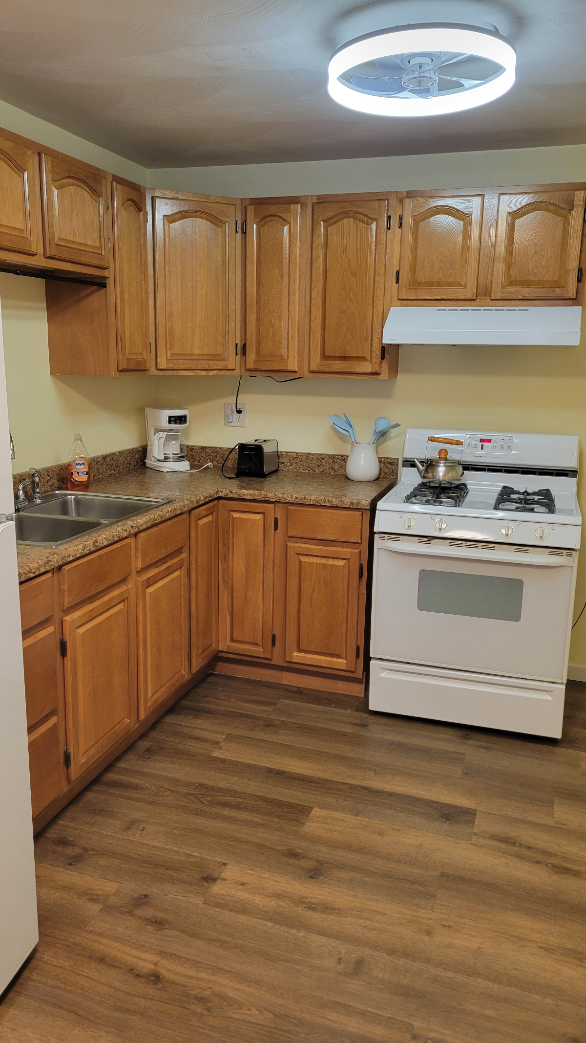 Newly updated, spacious 1 bedroom apartment - Photo 7