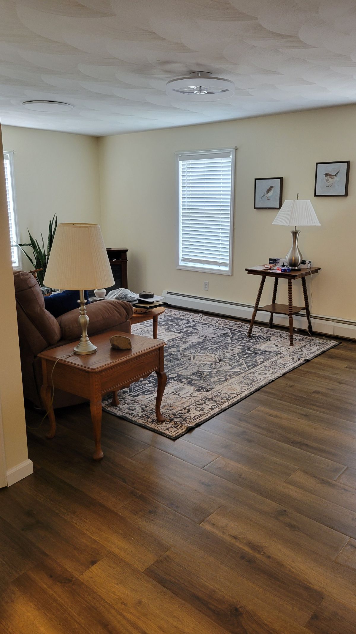 Newly updated, spacious 1 bedroom apartment - Photo 8