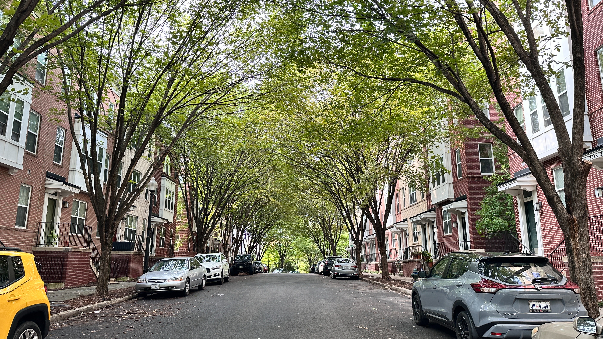 Townhouse Close to Metro in DC - 2BD/2BA/1GR - Photo 9