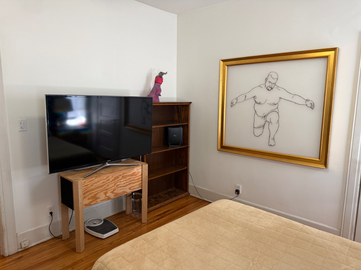 Room for Rent in Arlington Heights - $1,500 All-Inclusive - Photo 2