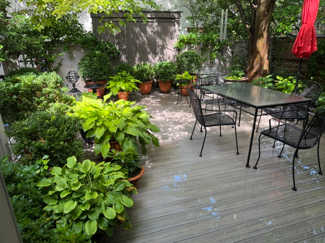 Furnished 1BR/BA--just renovated - Photo 12