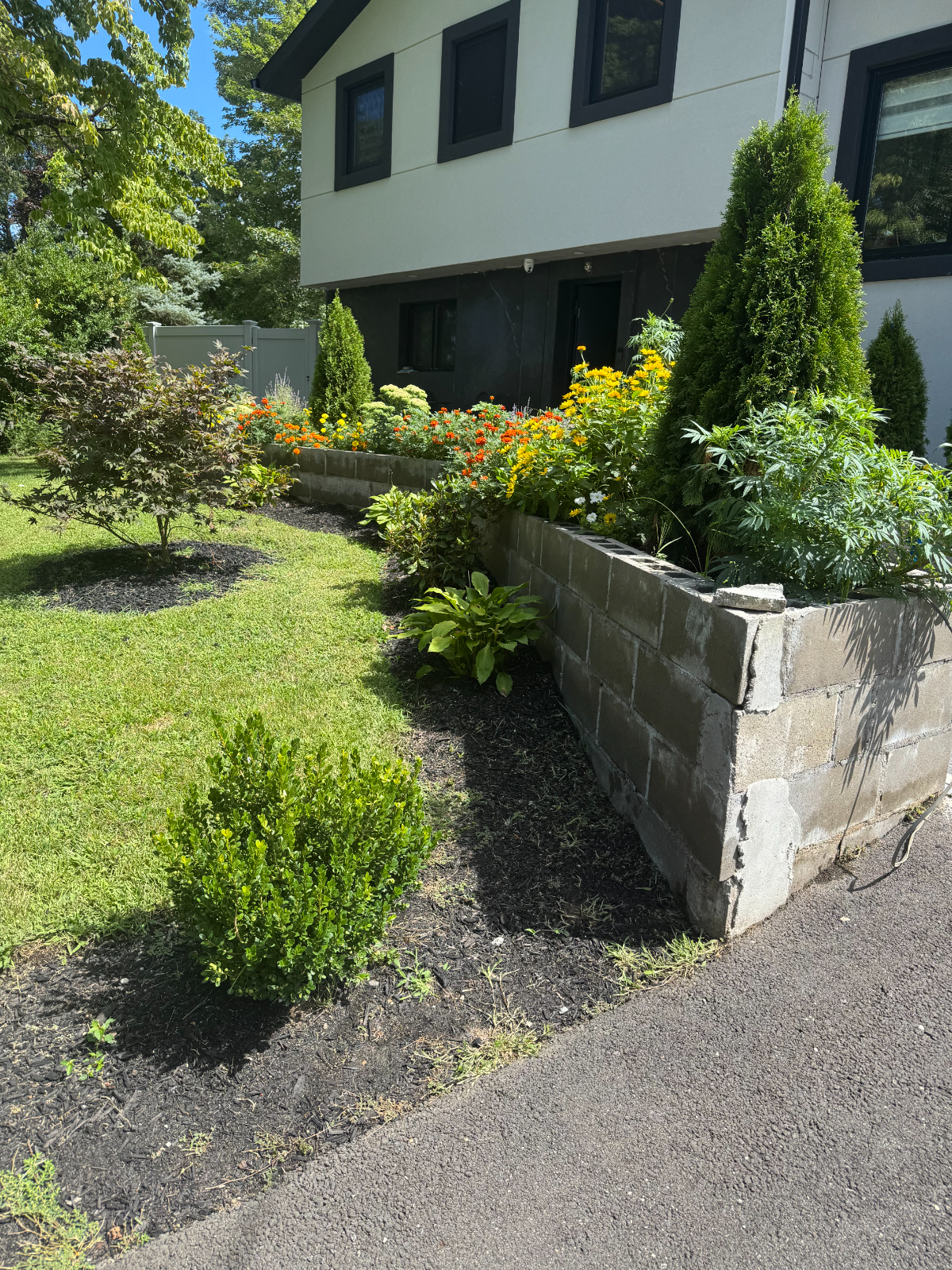 Private 1-Bedroom Apartment with Separate Entrance, Pool Access & Parking - Photo 8