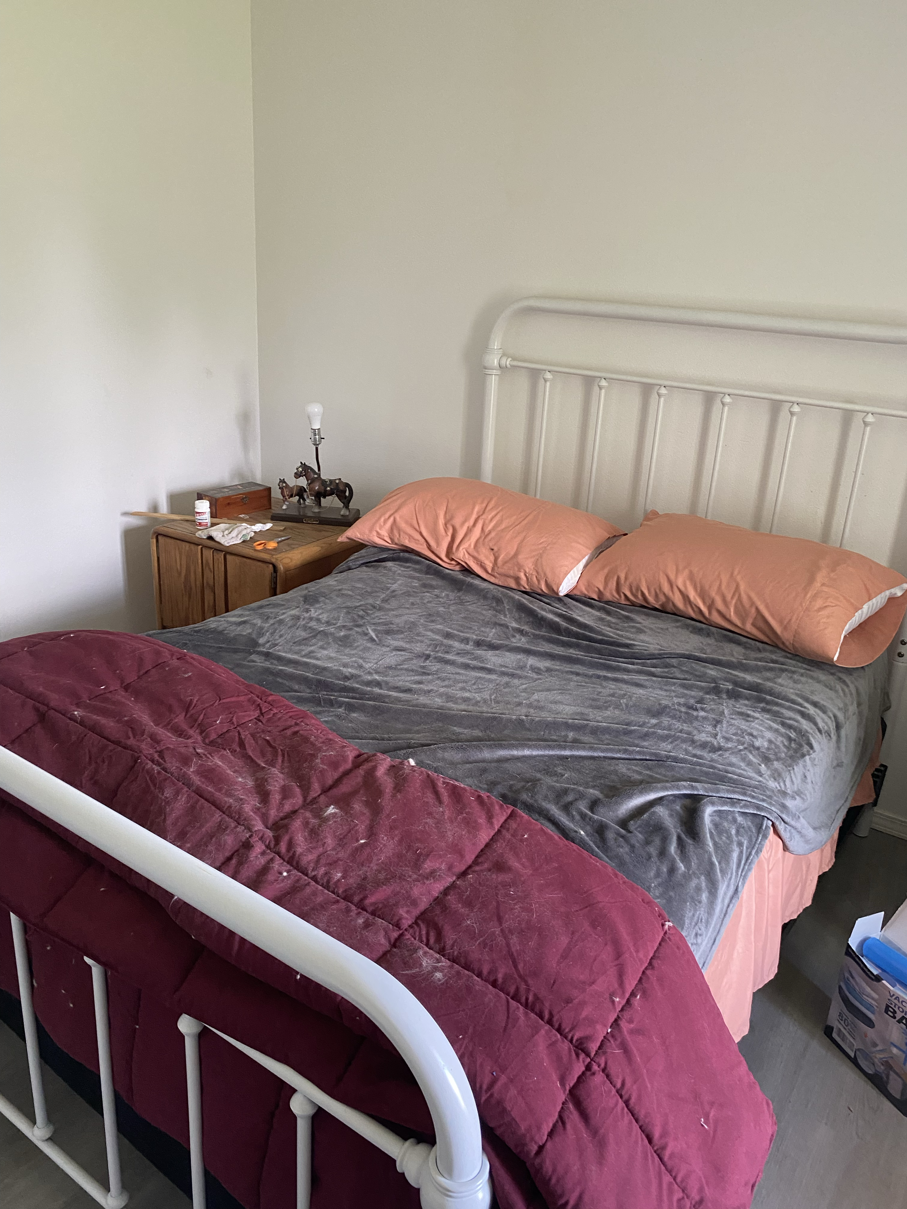 3bed 2 bath rural setting privacy - Photo 4