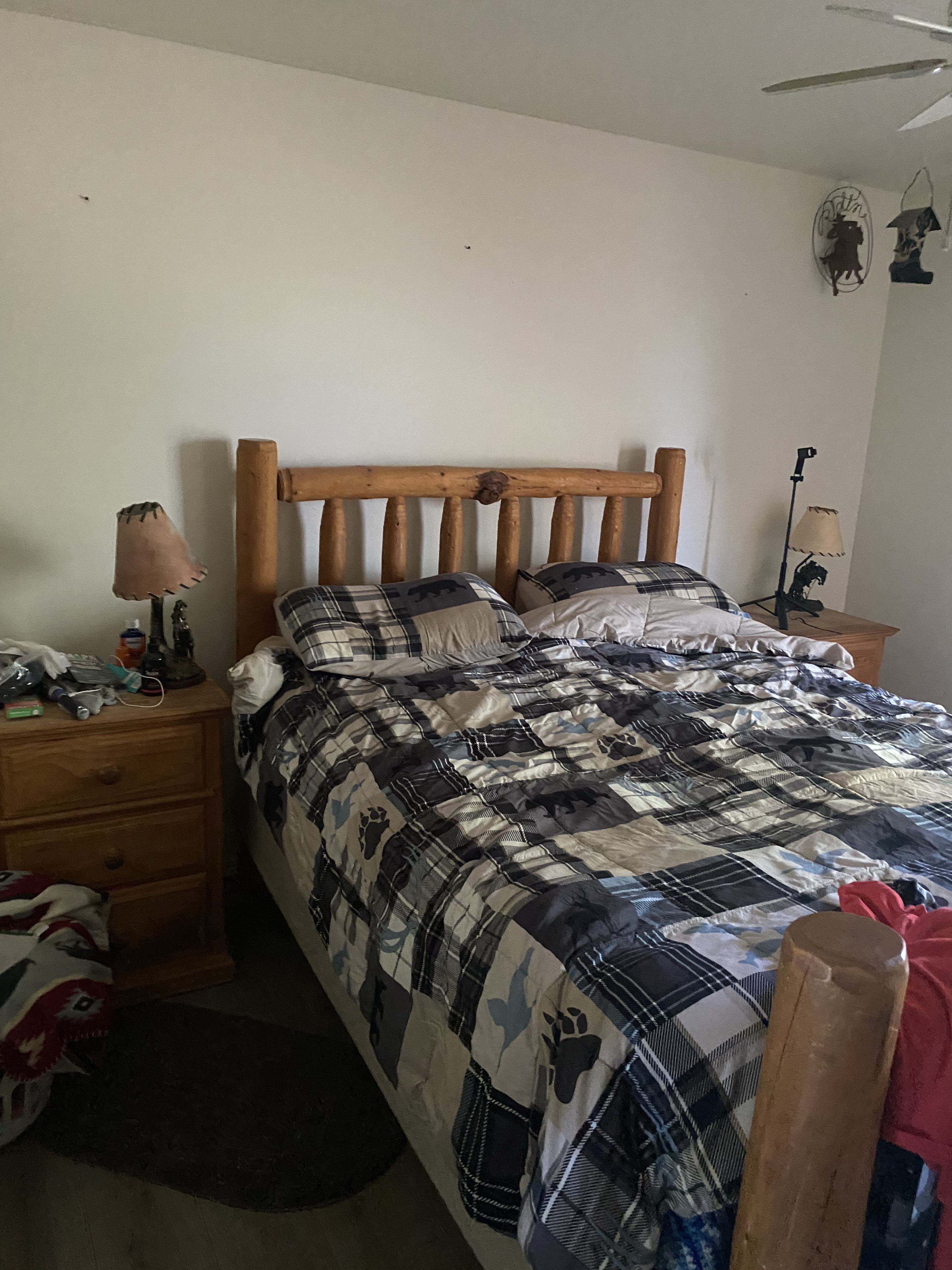 3bed 2 bath rural setting privacy - Photo 5