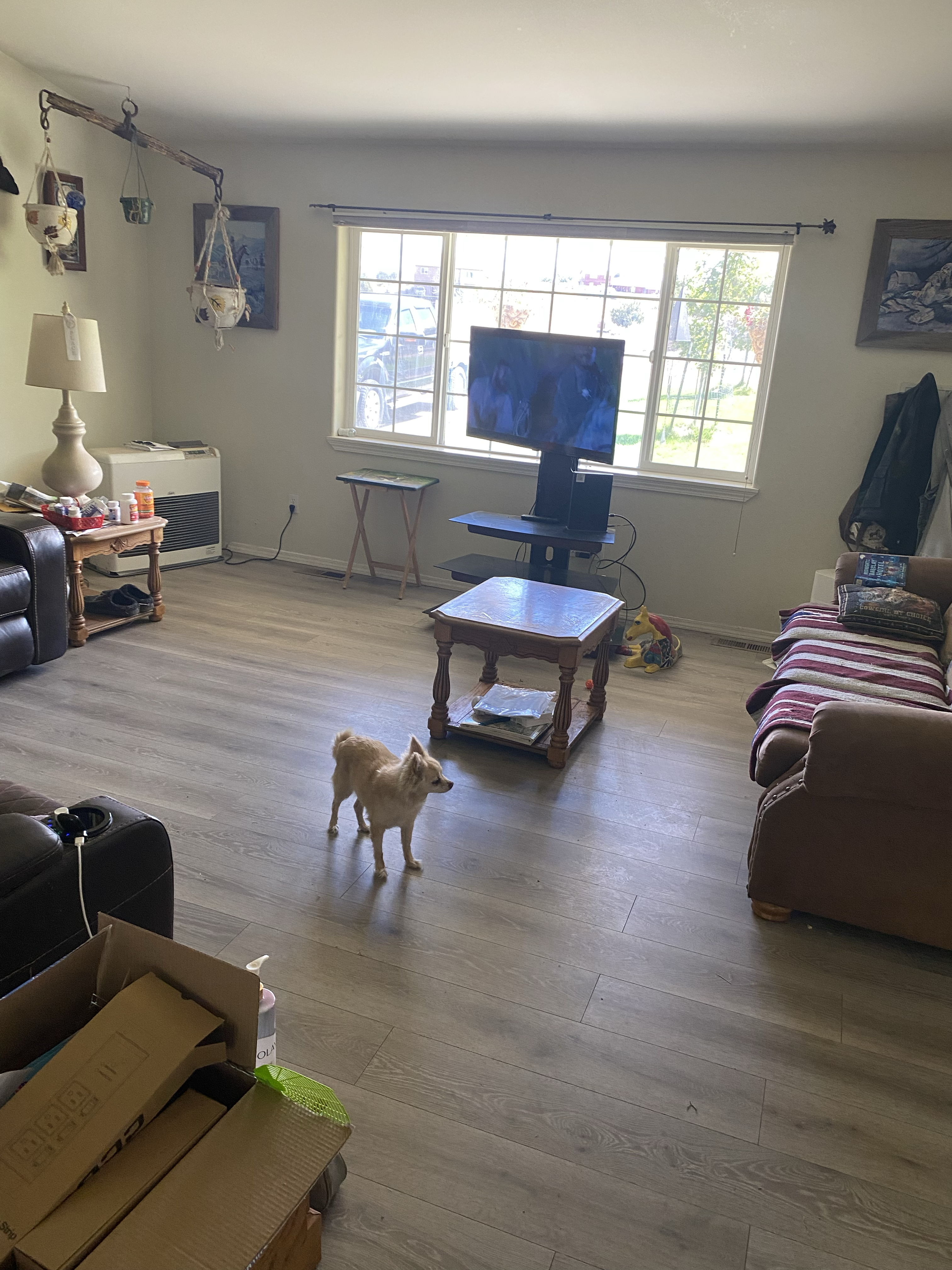 3bed 2 bath rural setting privacy - Photo 6
