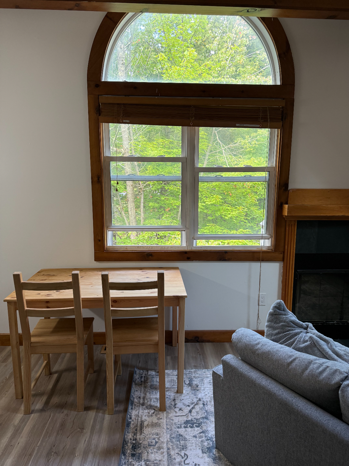SKIERS WELCOME!  NEWLY RENOVATED/fully furnished  2 bed/1 bath apartment in private neighborhood les - Photo 11