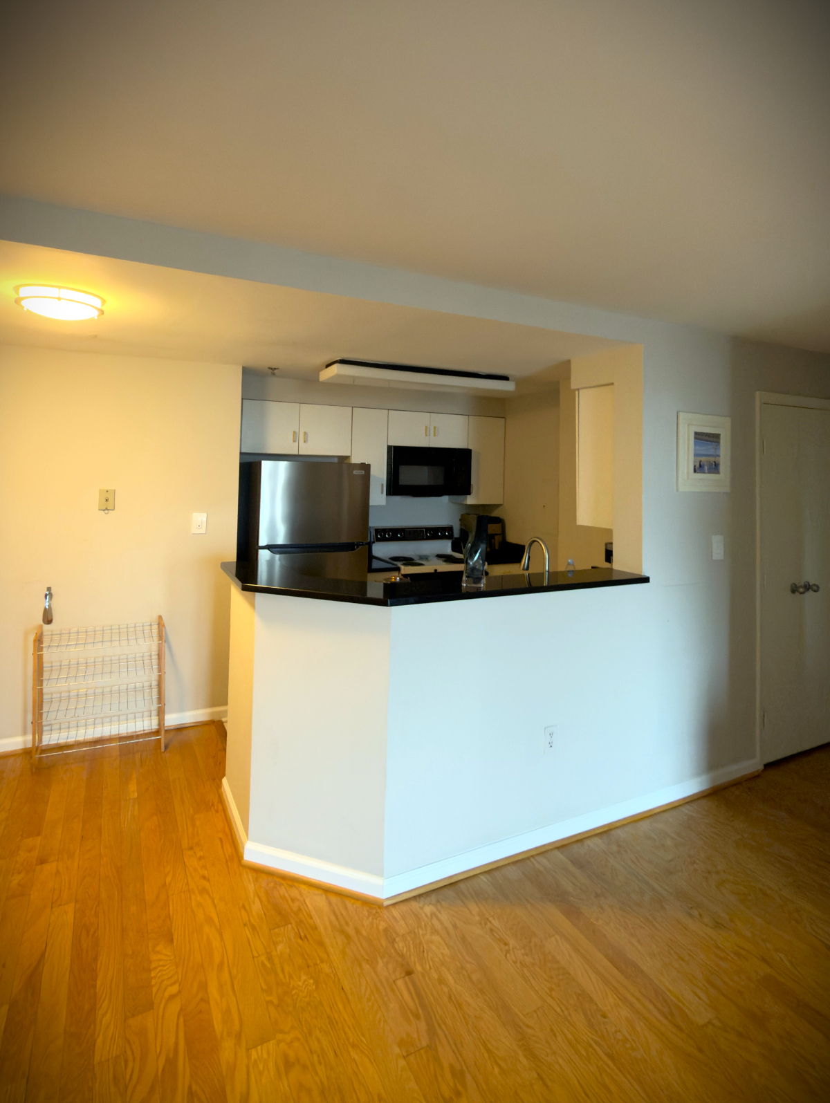 High-End 1 BD Apartment in the Heart of DC - Photo 1