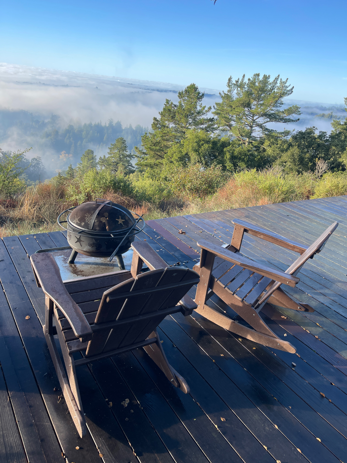 Private 6 bedroom Monterey Bay Retreat | 5 Acres + Yoga Studio + Cabanas - Photo 6