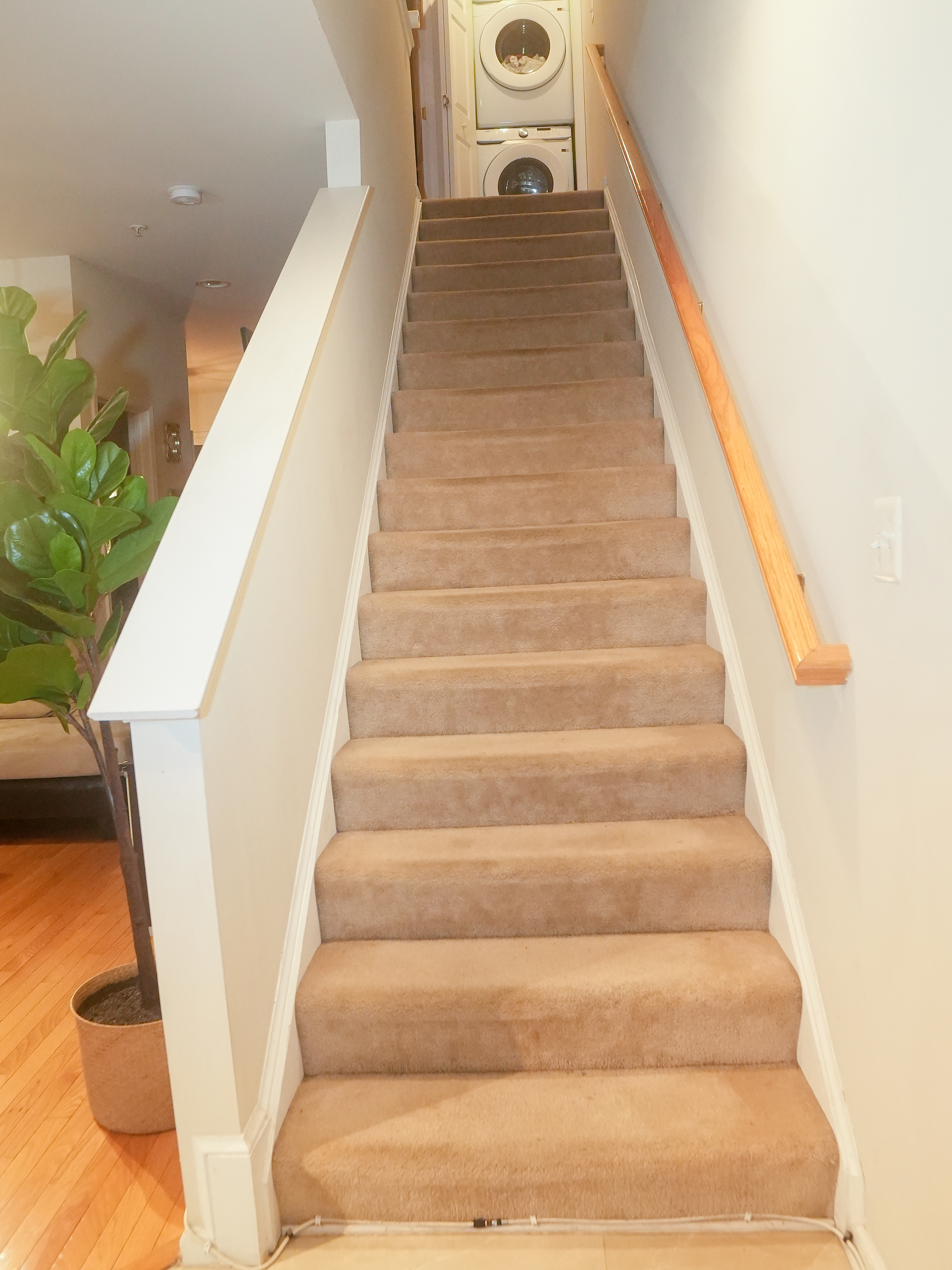Spacious & Move-in-Ready 2BR House in Washington's Prime Location - Photo 3