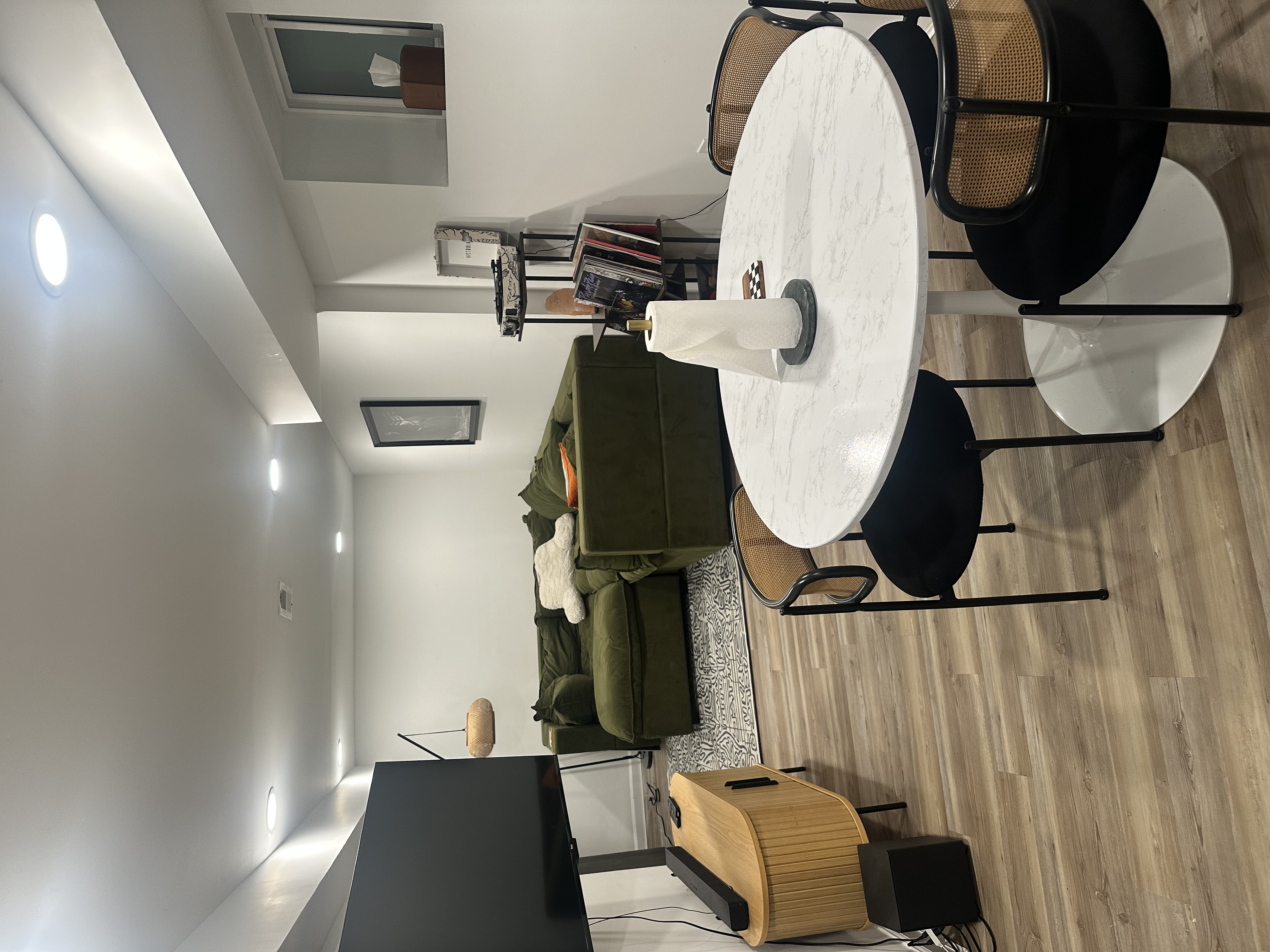 Luxury retro basement retreat - Photo 1